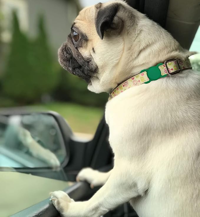 Air Tags-2 Pack Airtag Dog Collar Holder SWINCHO 1-3cm Width