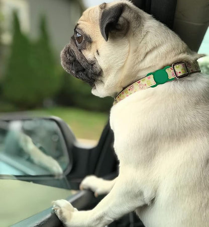 Air Tags-2 Pack Airtag Dog Collar Holder SWINCHO 1-3cm Width