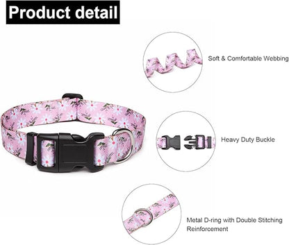 Adjustable Dog Collar with Patterns