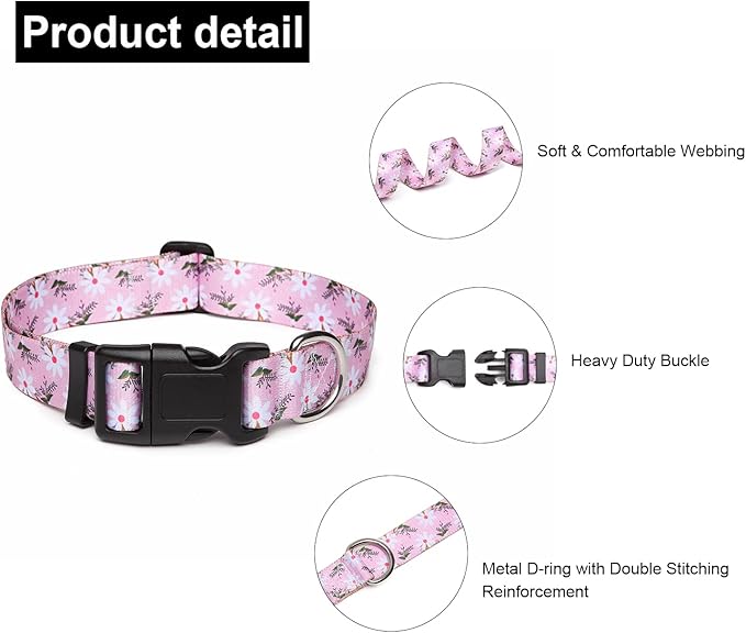 Adjustable Dog Collar with Patterns