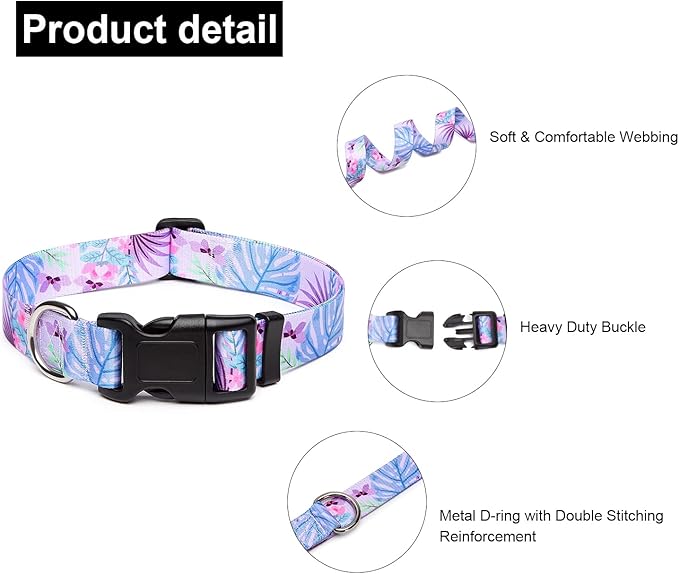 Adjustable Dog Collar with Patterns