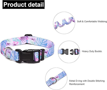 Adjustable Dog Collar with Patterns