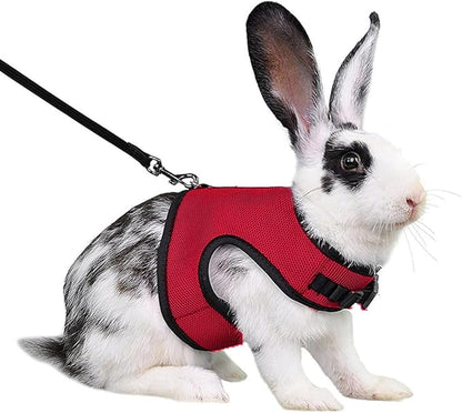 Bunny Harness and Leash Set, Rabbit Vest Hamster Leash Mesh Eescape Proof Walking Training for Small Animal Pets Rat Squirrel Ferret Guinea Pig Bunny,Red L