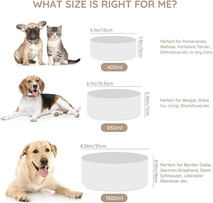 SPUNKYJUNKY Ceramic Dog and Cat Bowl Set with Wooden Stand, Modern Cute Weighted Food Water Set for Large Size Dogs (7.6 Cups, 2 × White)