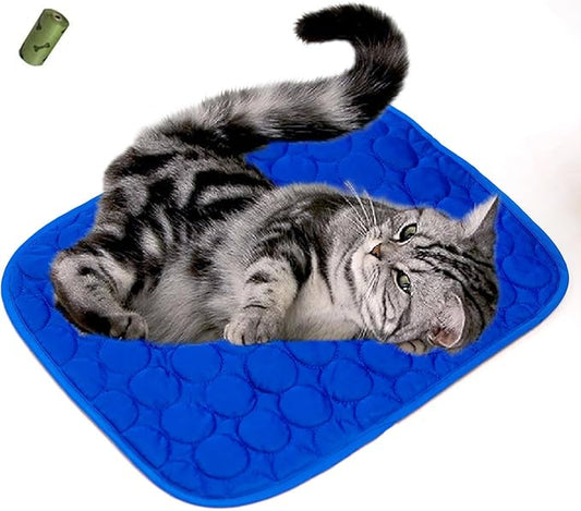 MICROCOSMOS Summer Cooling Mat & Sleeping Pad- Water Absorption Top 19" x 15")
