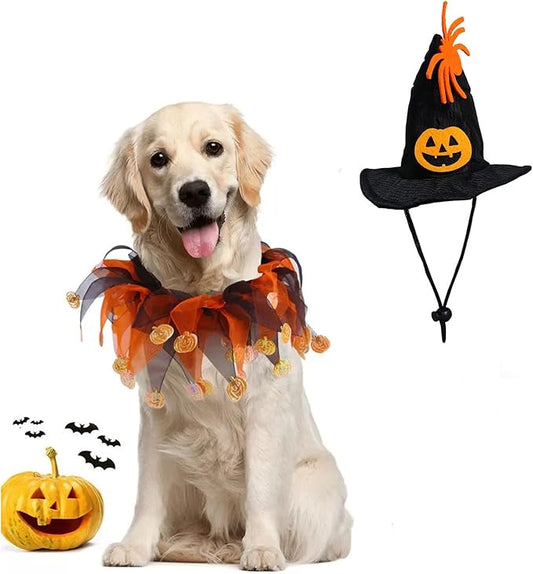Elegant little tail 2PCS Dog Halloween Costume - Dog Cat Pumpkin Witch Hat Dog with Halloween Pumpkin Patterns Pet Tutu Collar Suit Pet Halloween Costume for Cats Small Medium Dogs 2Pcs