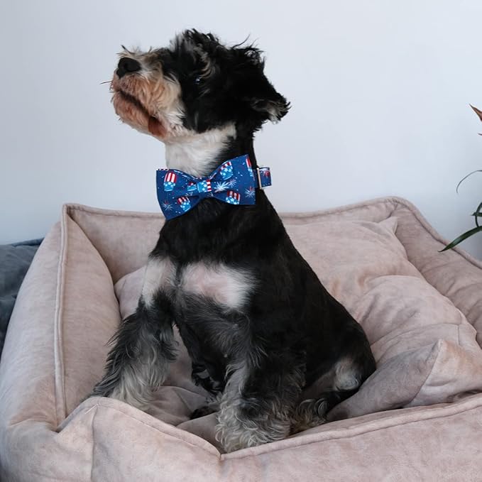 4th of July Dog Collar with Bow Tie 8-12in