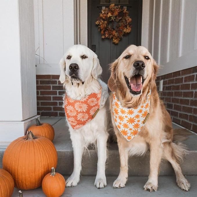 CROWNED BEAUTY Fall Dog Bandanas Reversible Small 2 Pack DB64-S