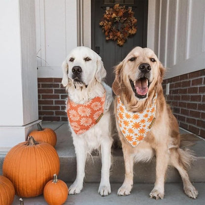 CROWNED BEAUTY Fall Dog Bandanas Reversible Small 2 Pack DB64-S