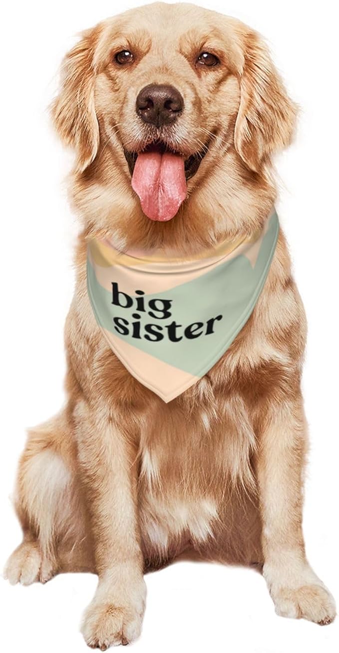 Big Sister Dog Bandana,Baby Announcement Dog Bandana,Gender Reveal,Pet Scarf, Pet Accessories for Photo Props Accessories (Yellow green)