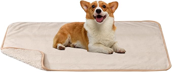 DaysU Waterproof Dog Blanket for Small Dogs 30"x40" Light