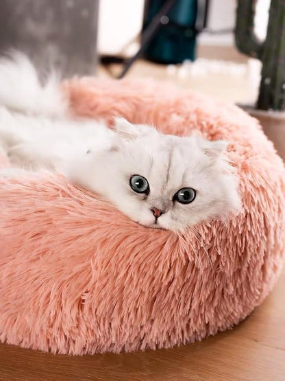 Small Cat Beds for Indoor Cats 16 inches, 5lbs)