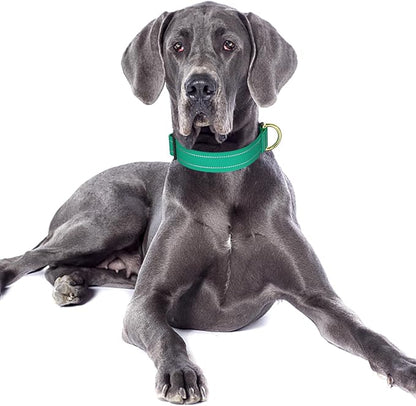 Reflective Dog Collar