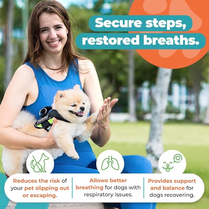 Joyride Harness 2.0 3 Leash