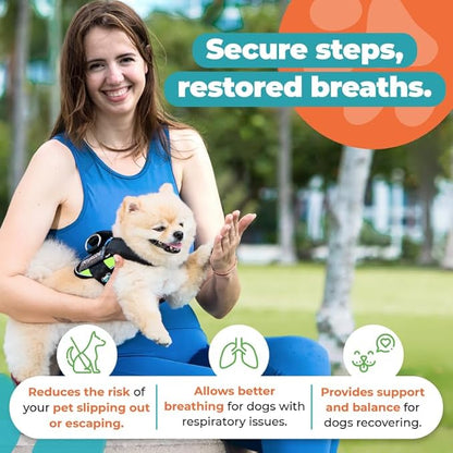 Joyride Harness 2.0 3 Leash