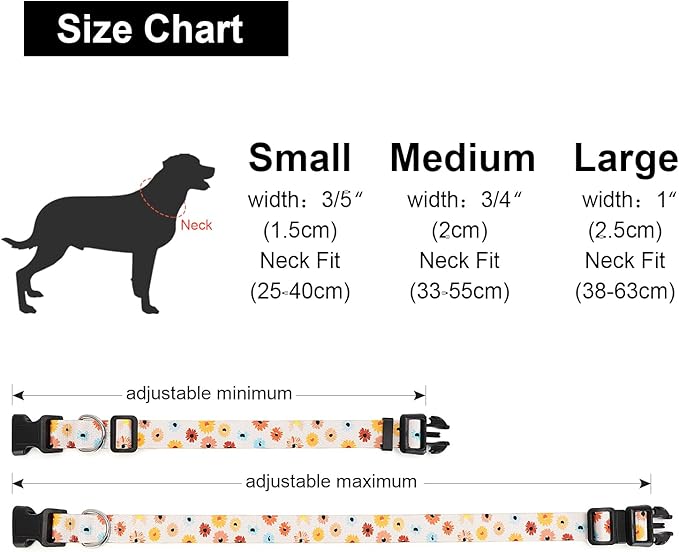 Adjustable Dog Collar with Patterns