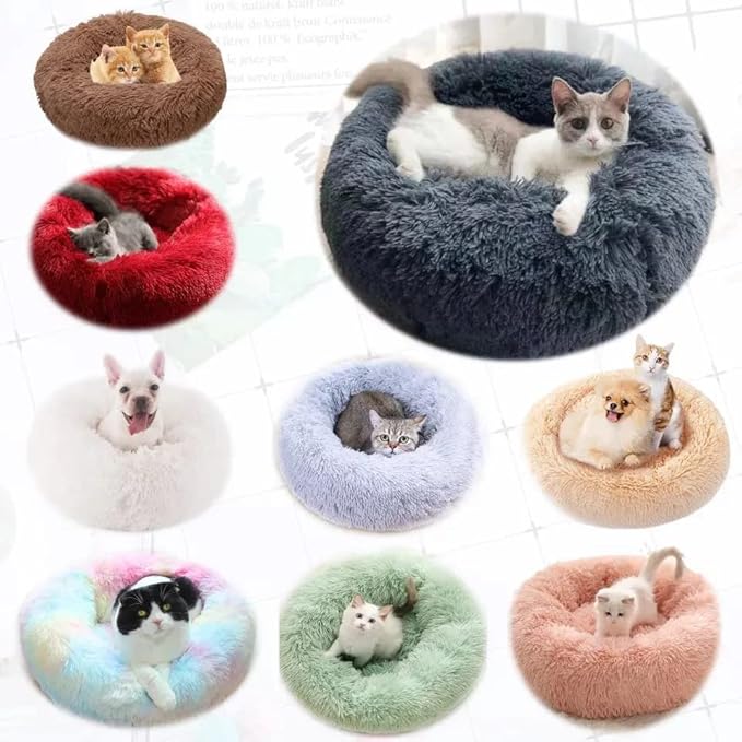 Small Cat Beds for Indoor Cats 16 inches, 5lbs)
