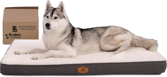 Orthopedic Dog Bed for XL Dogs