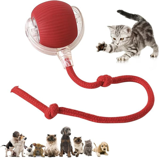 Chewie Viral Rolling Ball,Interactive Rolling Dog Ball Toy,Interactive Cat Ball Toy,Interactive Cat Dog Toys Ball Fast Rolling,360° Smart Automatic Rolling Pet Ball (red)