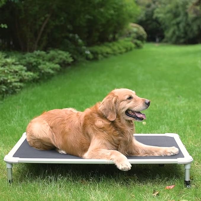 Veehoo Chew Proof Elevated Dog Bed CWC2003