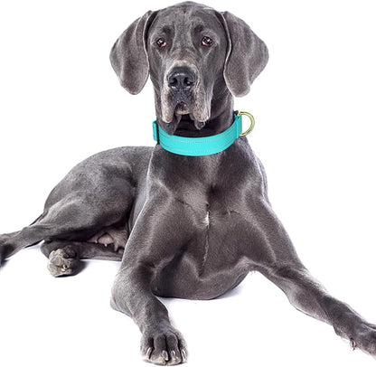 Reflective Dog Collar