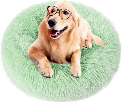 otoez Round Donut Dog Bed for Small Dogs (23.6", Teal)