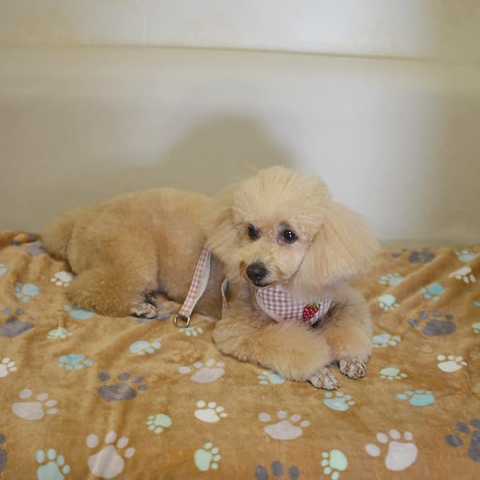 1 Pack 3 Puppy Blankets Super Soft Warm Sleep Mat Cute PAW Print Blanket Fleece Pet Blanket Flannel Throw Dog Blankets for Small Dogs Puppy Cats Gray/White/Brown-Large(40"x30")