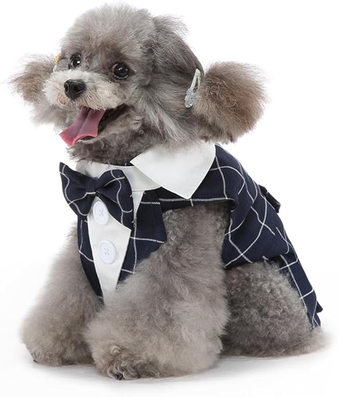 Puppy Tuxedo with Detachable Bowtie Prom Wedding Formal Wear Prince Costume for Small Dog (X-Large, Blue Plaid)