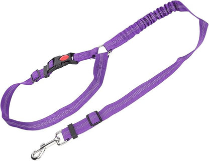 Dog Seat Belt for Cars