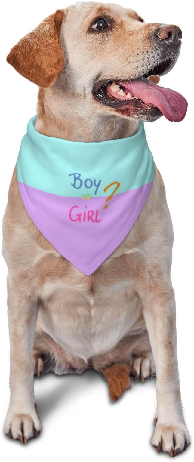 He Or She What Will It Be? Gender Reveal/Baby Announcement Dog Bandana,Pet Neckerchief for Pets Daily Wear Photo Prop Party Supplies (Pink/Blue-2)