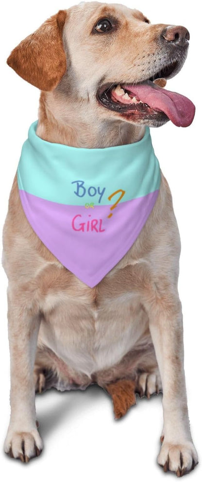 He Or She What Will It Be? Gender Reveal/Baby Announcement Dog Bandana,Pet Neckerchief for Pets Daily Wear Photo Prop Party Supplies (Pink/Blue-2)