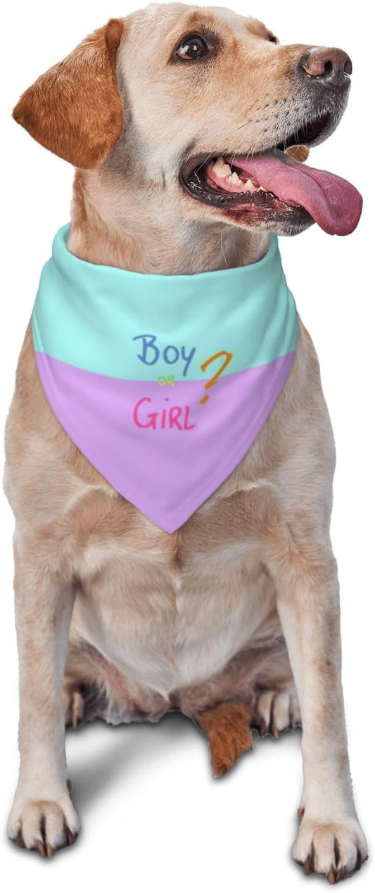He Or She What Will It Be? Gender Reveal/Baby Announcement Dog Bandana,Pet Neckerchief for Pets Daily Wear Photo Prop Party Supplies (Pink/Blue-2)