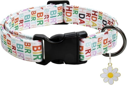 Flower Patterns Dog Collar with Accessories