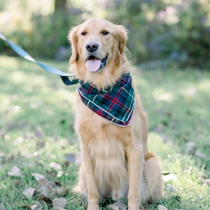 Lionet Paws Christmas Dog Bandana Washable Cotton Handkerchief