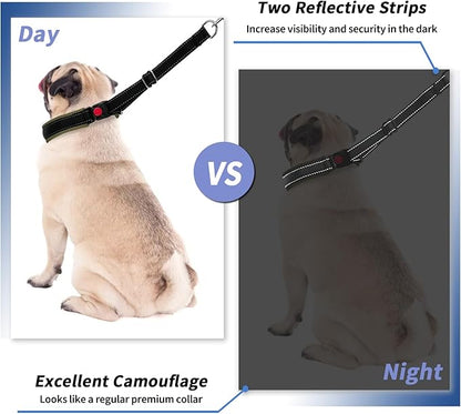 Martingale Collar for Dogs