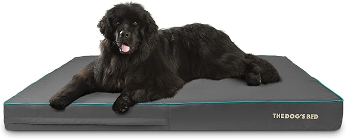 The Dog’s Bed Orthopedic Memory Foam Dog Bed 64x44, Pain