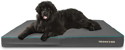 The Dog’s Bed Orthopedic Memory Foam Dog Bed 64x44, Pain