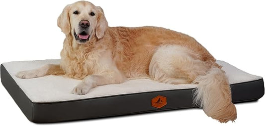 Orthopedic Dog Bed for Large Dogs