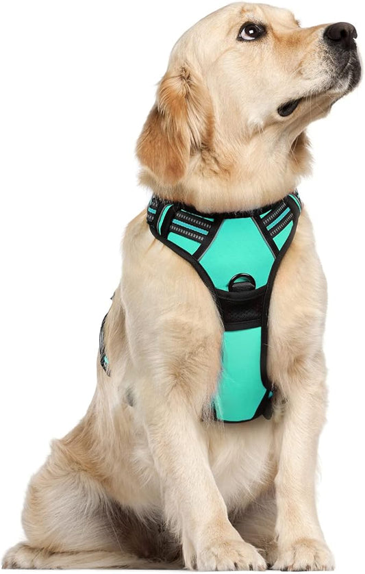 rabbitgoo Dog Harness 2 Leash