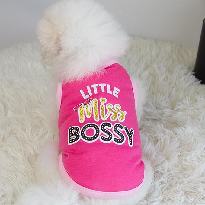 Dog Shirt 2 Pcs Summer Cotton Vests for Small Dog Cats Boy Girl (Miss Bossy, X-Large)