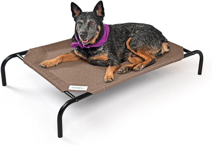 Coolaroo The Original Cooling Elevated Dog Bed