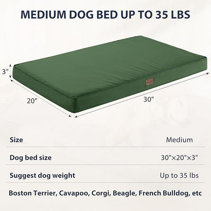 BFPETHOME Outdoor Dog Beds for Large Dogs (30 x 20in, Green)