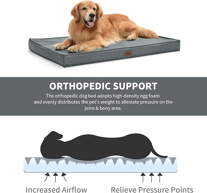 Outdoor Dog Bed for Medium/Small Dogs