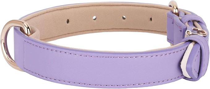 WHIPPY Soft Padded Leather Dog Collar for Small Medium Large Dogs Heavy Duty Dog Collar with Adjustable Rust-Proof Metal Hardware