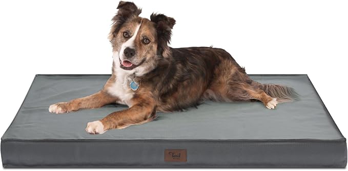 Orthopedic Dog Bed for Large Dogs