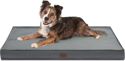 Orthopedic Dog Bed for Large Dogs