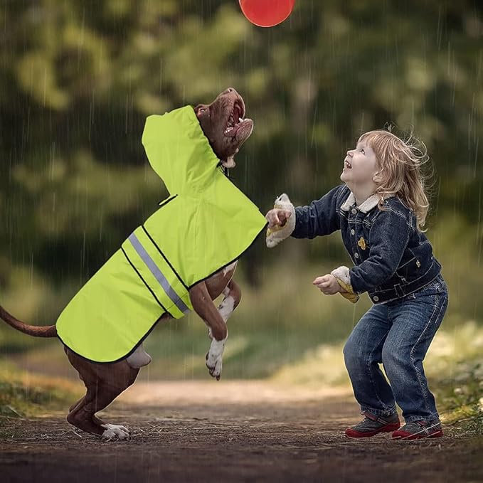 Waterproof Puppy Rain Jacket