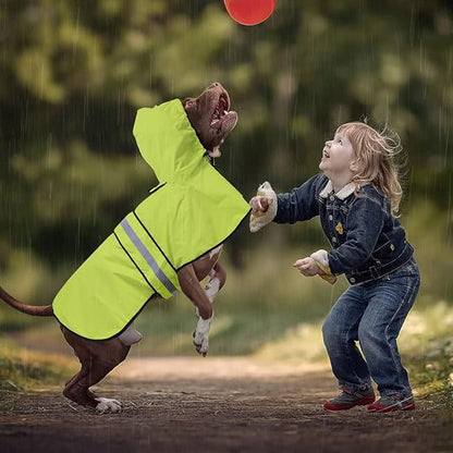 Waterproof Puppy Rain Jacket