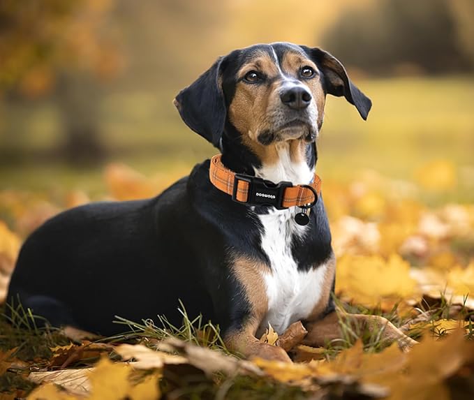 DOGWONG Cotton Dog Collar