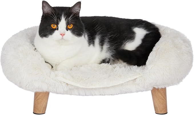 Elevated Pet Bed